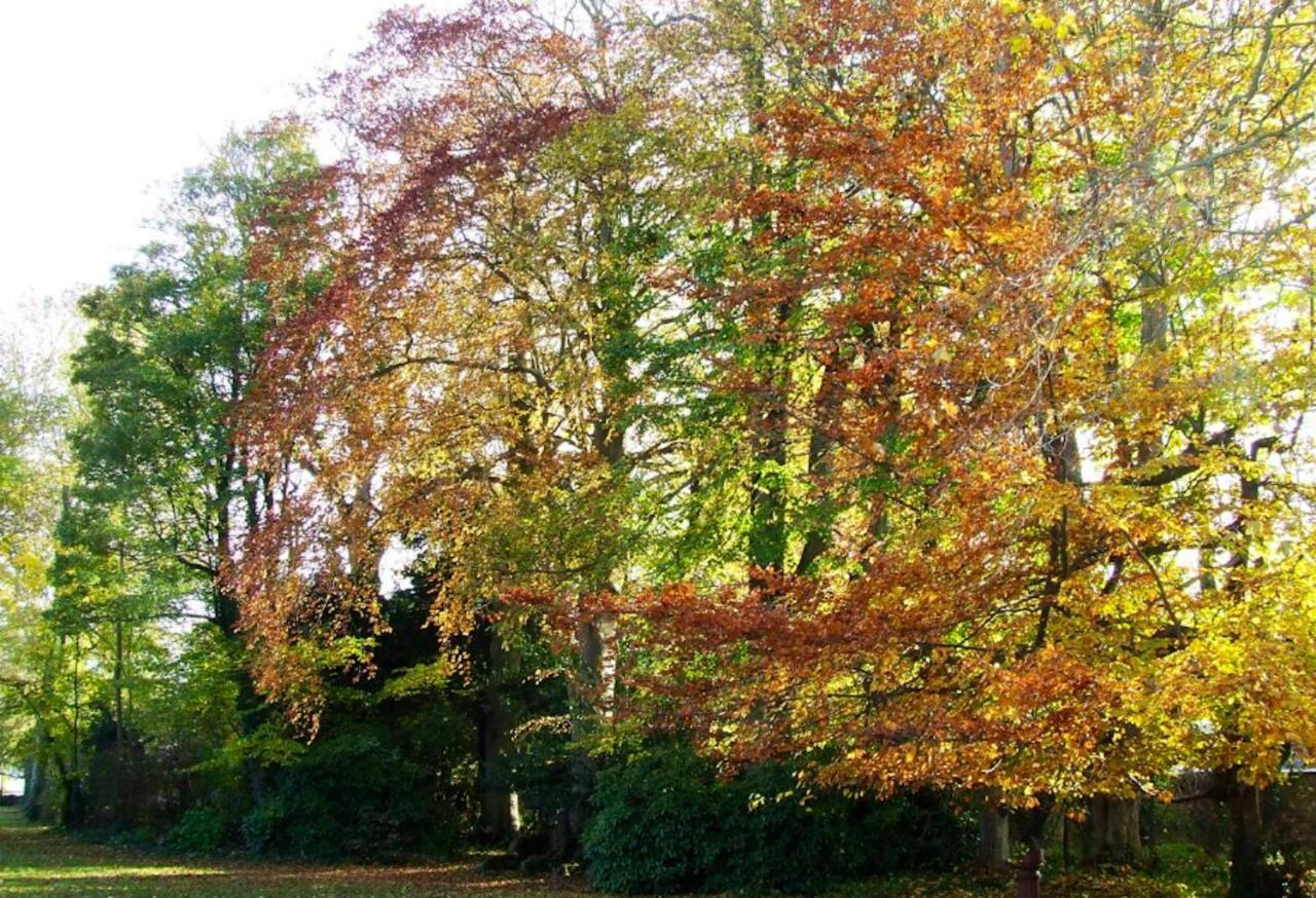Maison Charmante A Ryes Avec Jardin Clos Et Acces Pmr Exterior foto